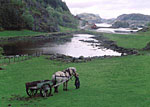 Three Sisters Press - Denmark, Norway