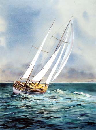 1Windstorm