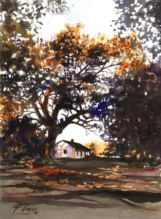 OldOakTree