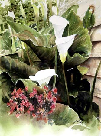 WallLillies