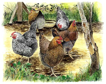 1Hen Party
