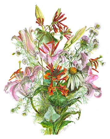 2pink lillies honey daisy