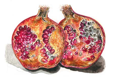 3Pomegranite