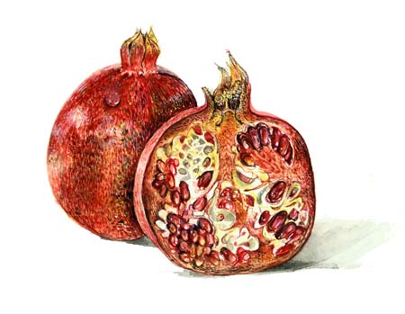3Pomegranate 1