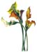 2Calla lillies