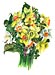 2Daffodil