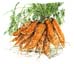 3Carrots