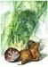 3Fennel, Pears, & Cabbage