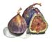 3Figs
