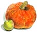 3Pumpkin and Apple