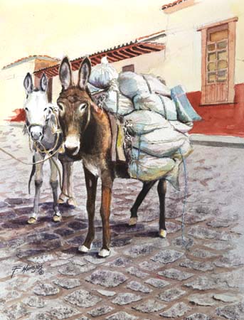 TwoDonkeys